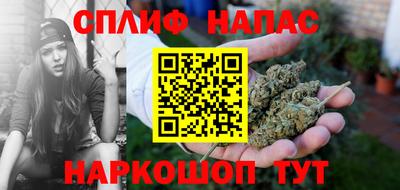 a pvp Славгород