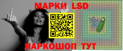 a pvp Славгород