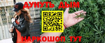 a pvp Славгород