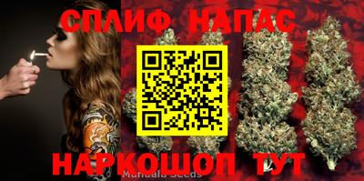 герыч Сланцы