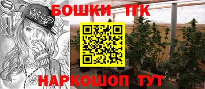 a pvp Славгород