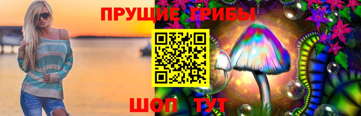 Осинники  Галлюциногенные грибы мухоморы  Вход с VPN  Галлюциногенные грибы ЛСД 